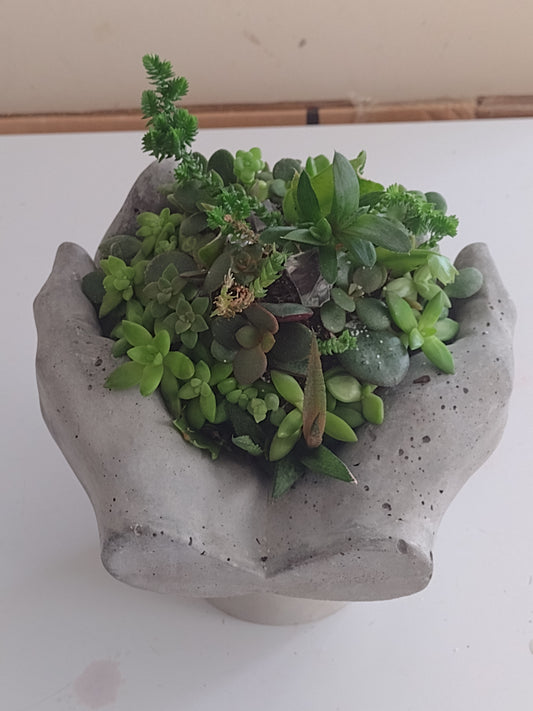 Cement hand planter (plants not included)